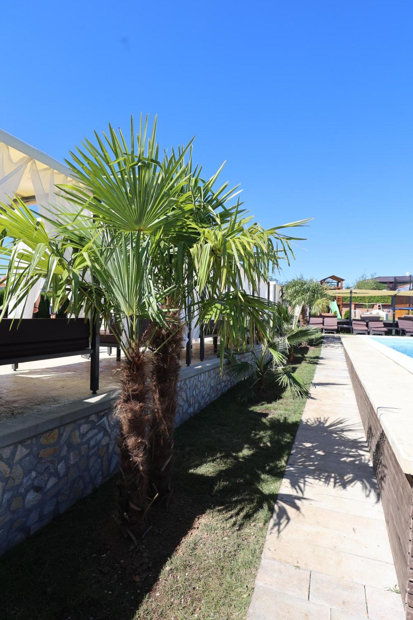 Alexander Resort Sopot Zewnętrze zdjęcie